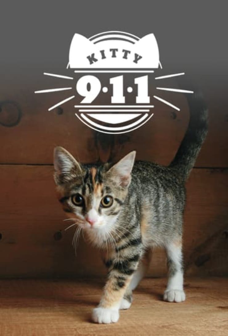 Kitty 911