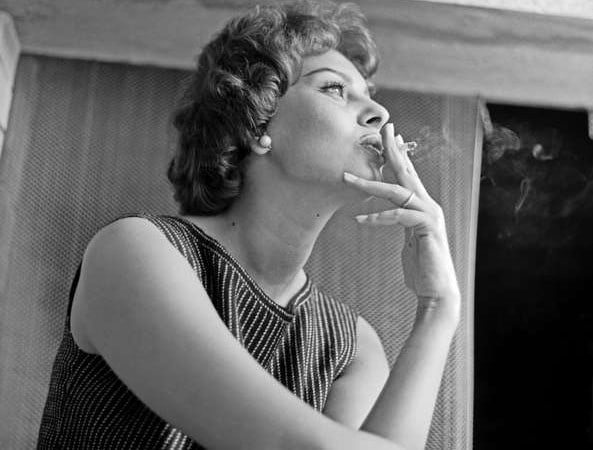 Sophia Loren