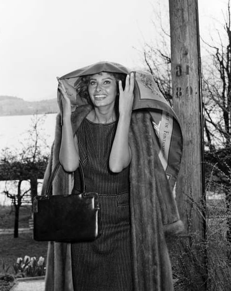 Sophia Loren