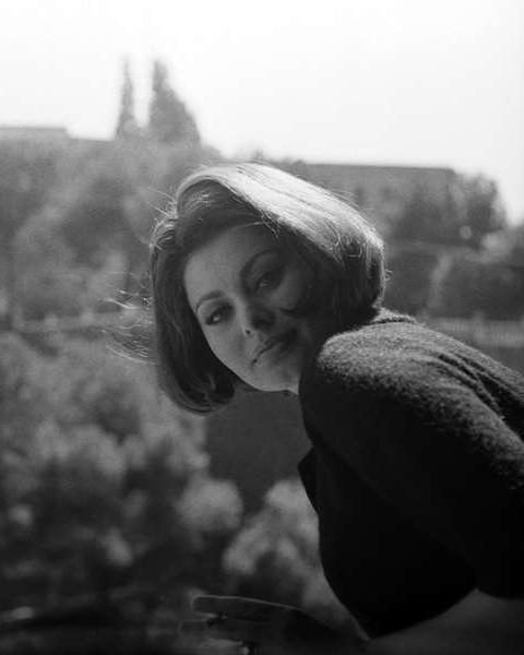 Sophia Loren
