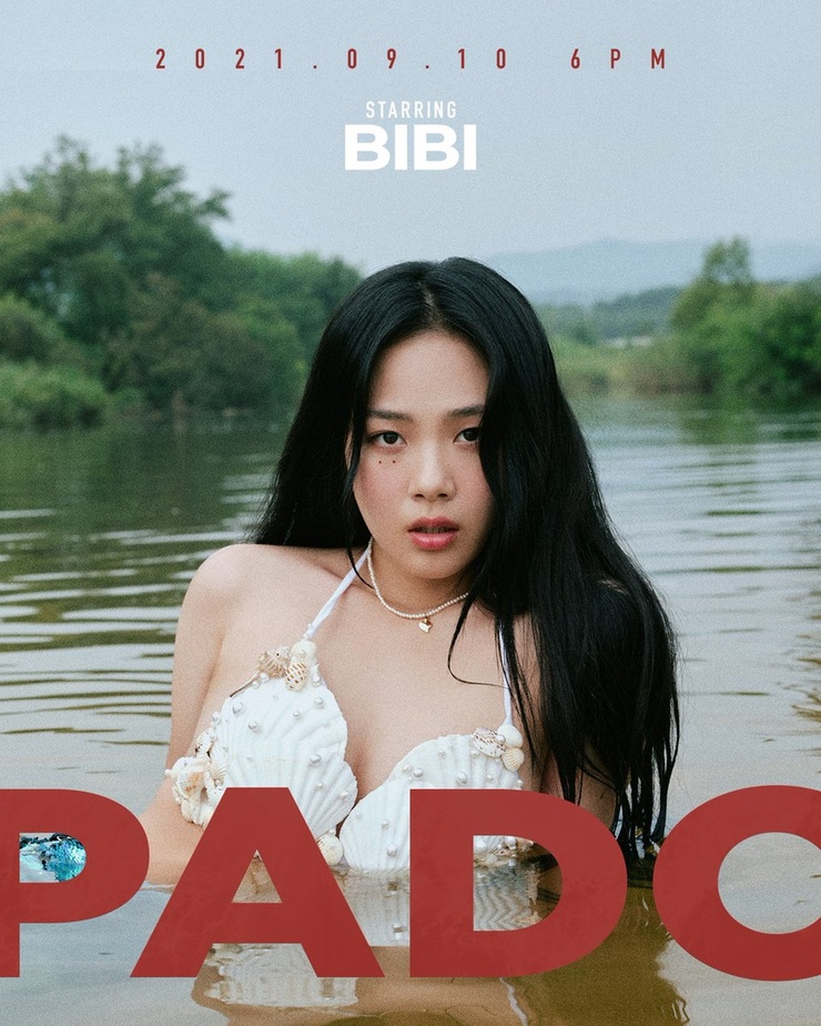BIBI