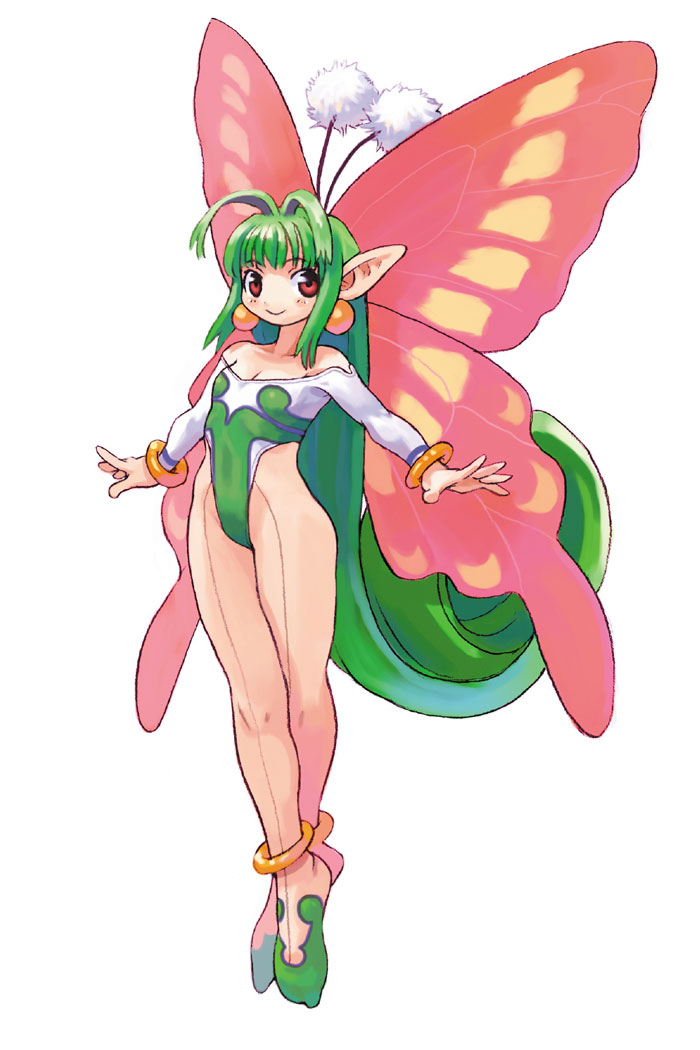Papillon