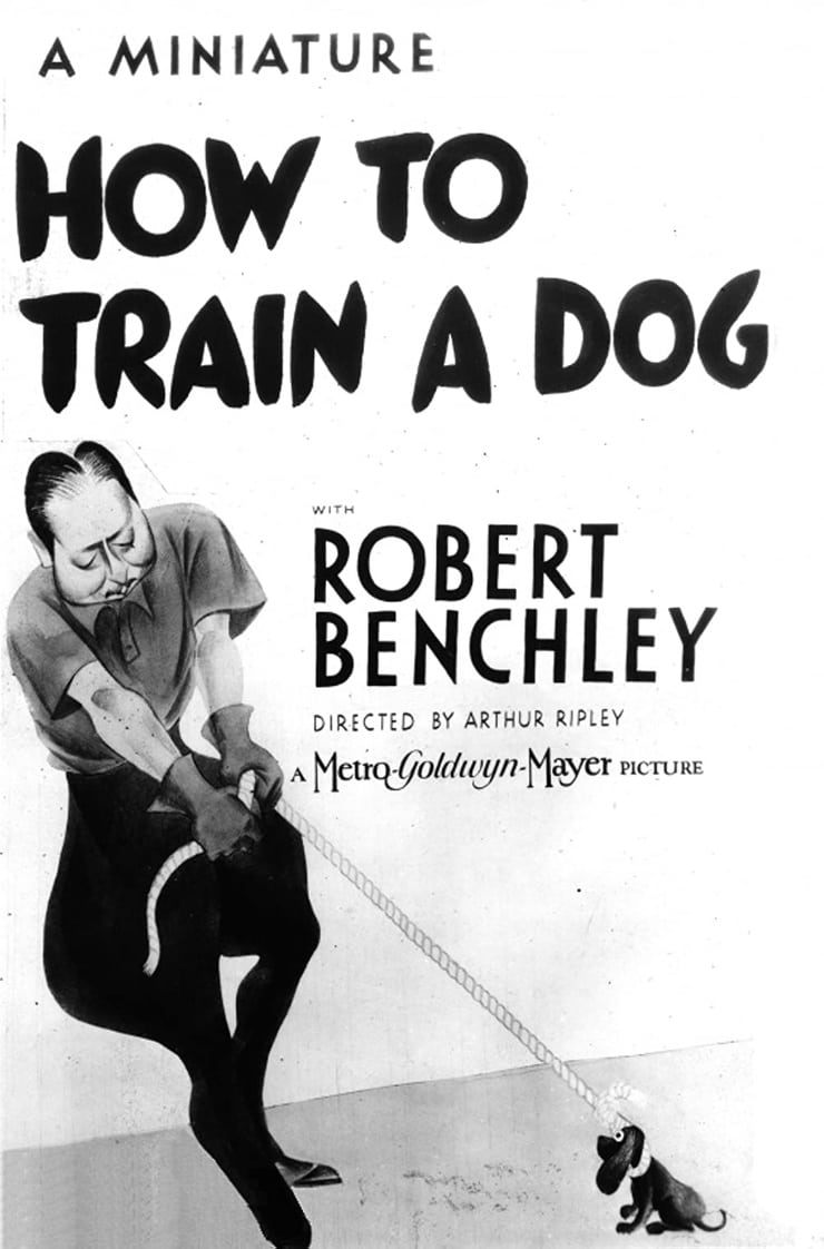 How to Train a Dog