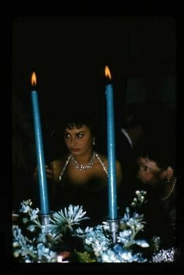 Sophia Loren Sophia Loren
