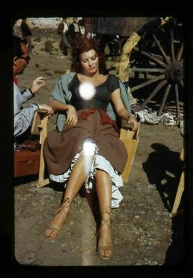 Sophia Loren Sophia Loren