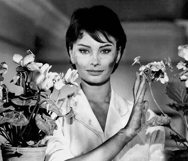 Sophia Loren Sophia Loren