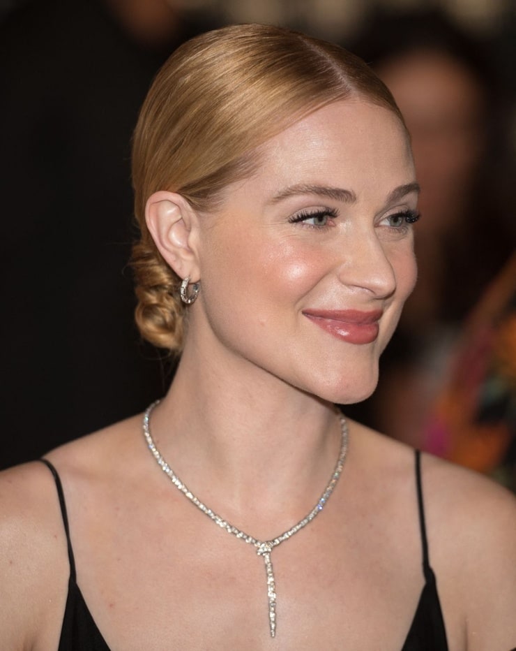 picture-of-evan-rachel-wood