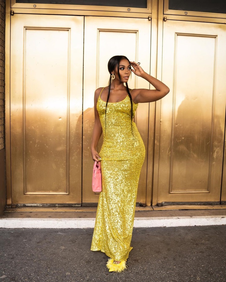 Nafessa Williams