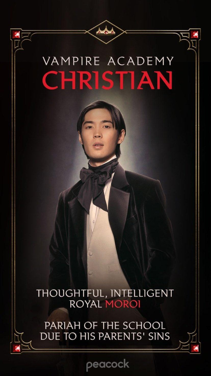 Vampire Academy image