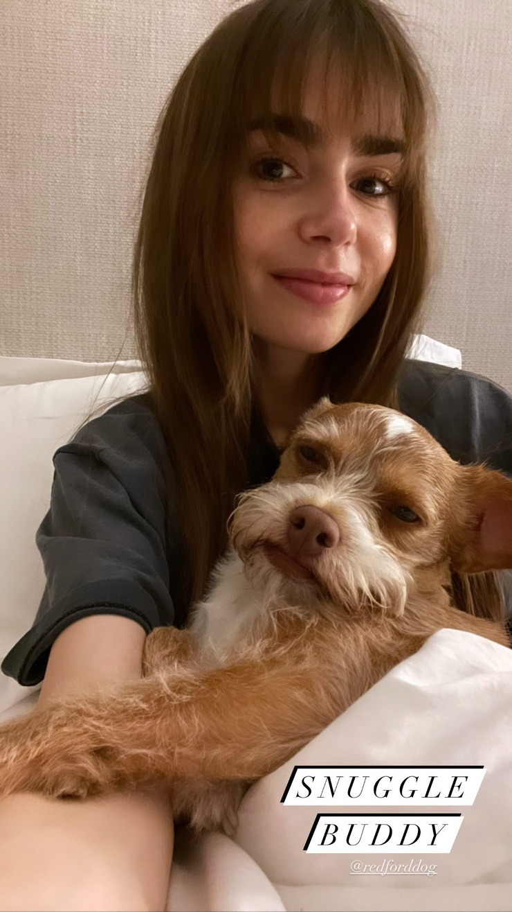 Lily Collins Lily Collins