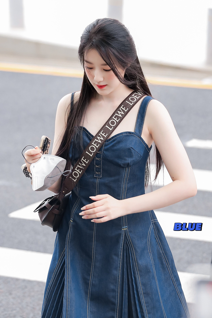 Yeh Shu Hua