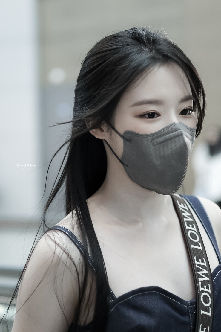 Yeh Shu Hua