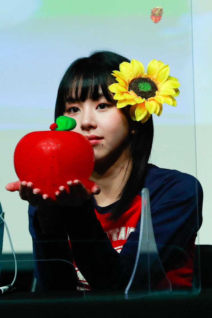 Son Chae Young