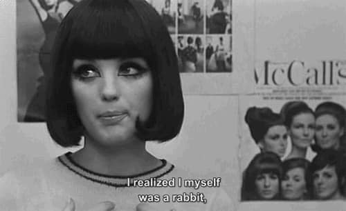 Who Are You, Polly Maggoo?