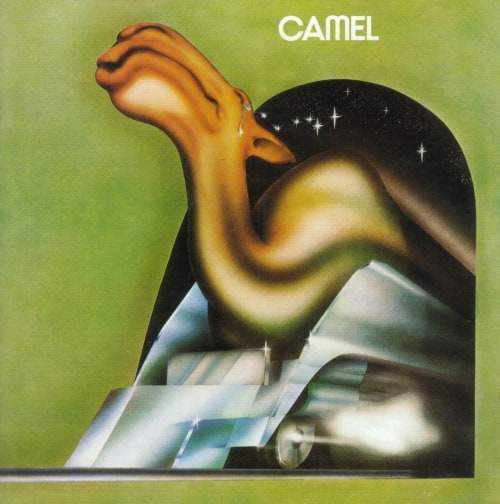 Camel