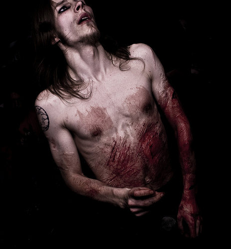 Lifelover Lifelover