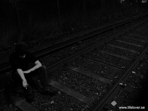Lifelover Lifelover