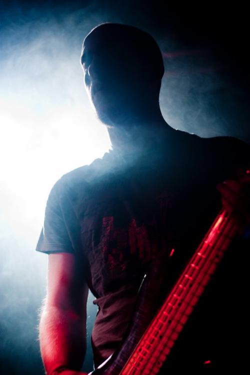 Picture of Lifelover