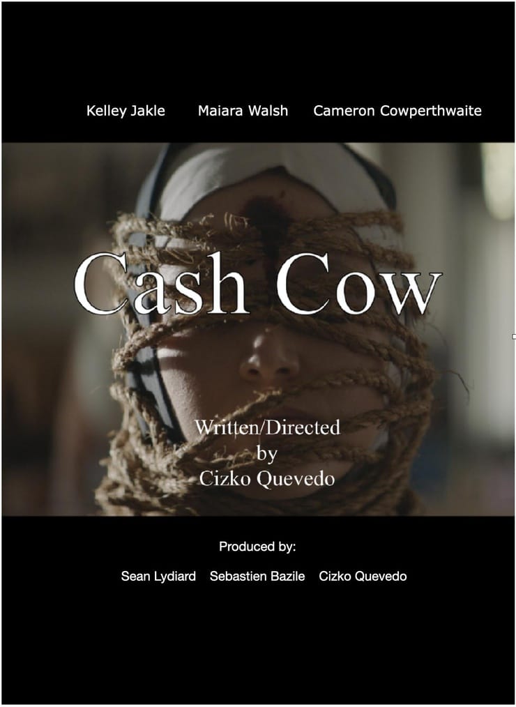 cash-cow-picture