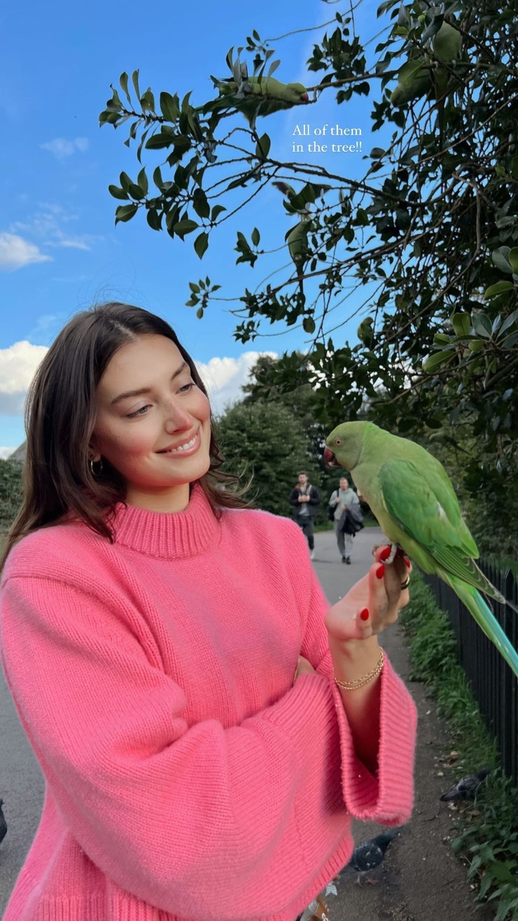 Jessica Clements Jessica Clements