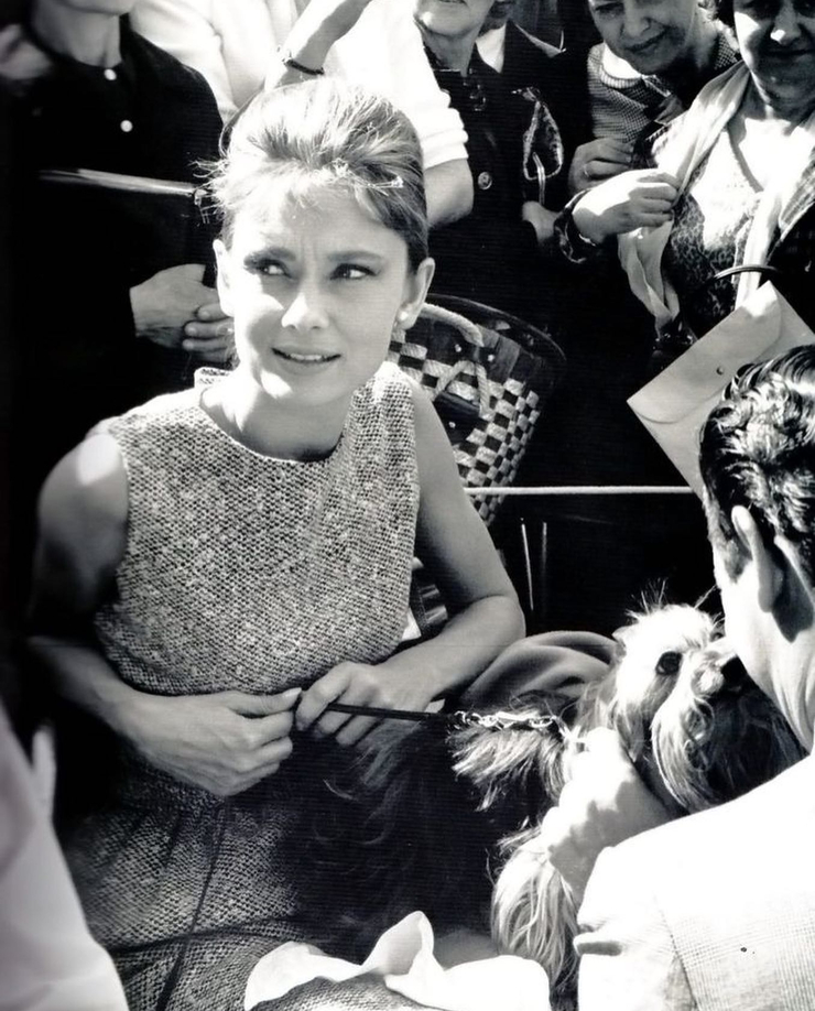 Breakfast at Tiffany's Breakfast at Tiffany's