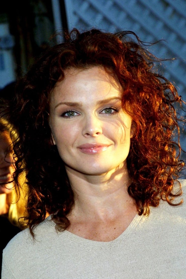 Dina Meyer