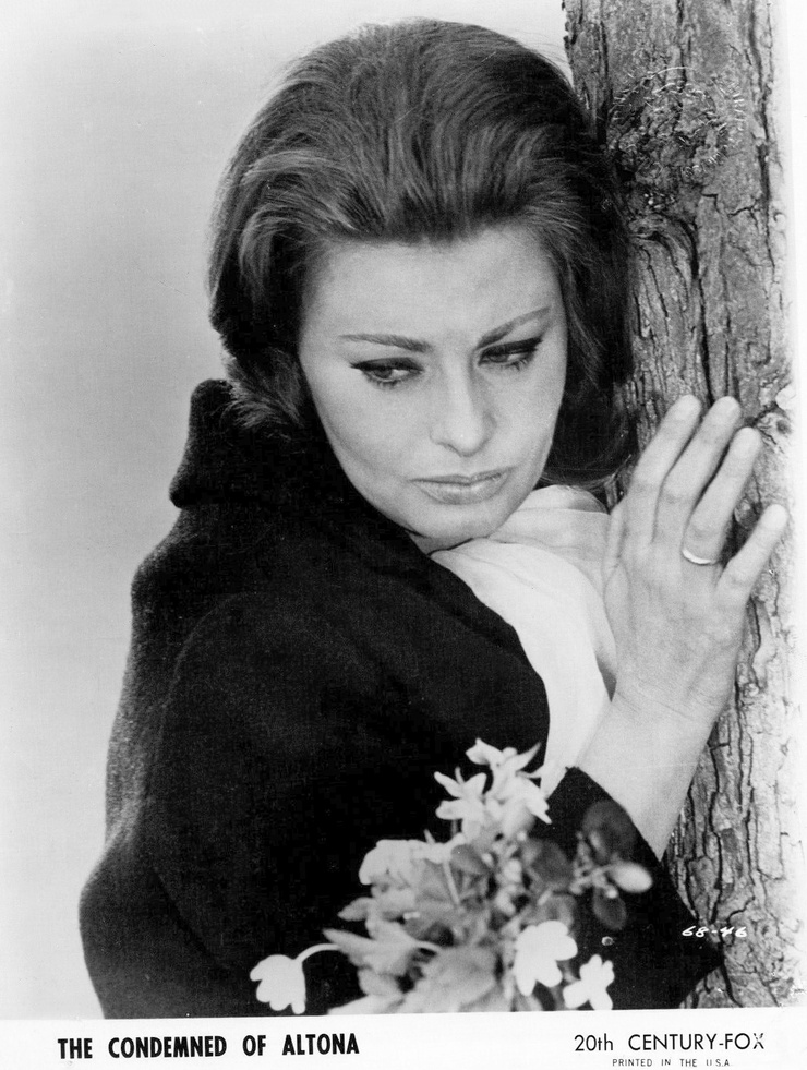 Sophia Loren