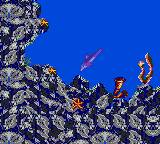 Ecco: The Tides of Time