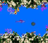 Ecco the Dolphin