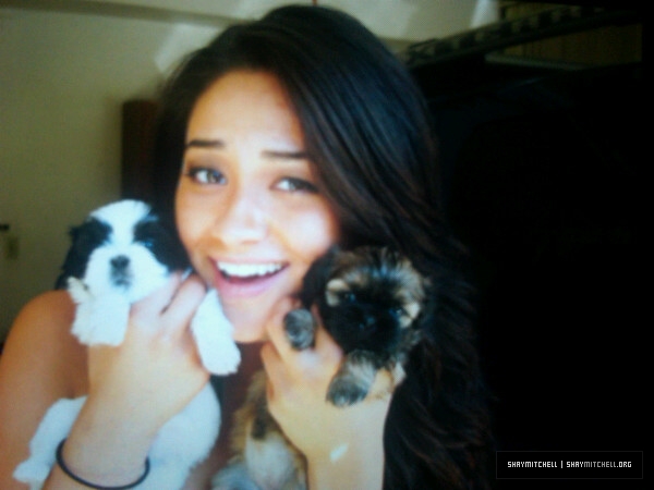 Shay Mitchell