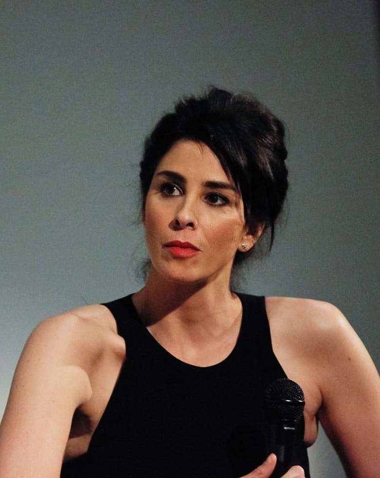 Picture Of Sarah Silverman