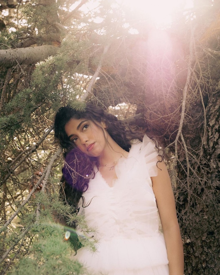 Nour Ardakani