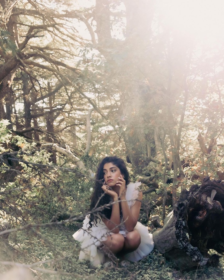 Nour Ardakani