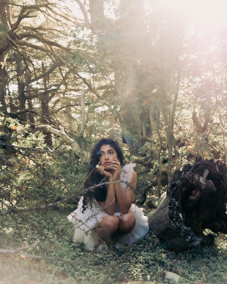 Nour Ardakani