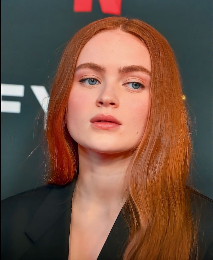 Sadie Sink Image