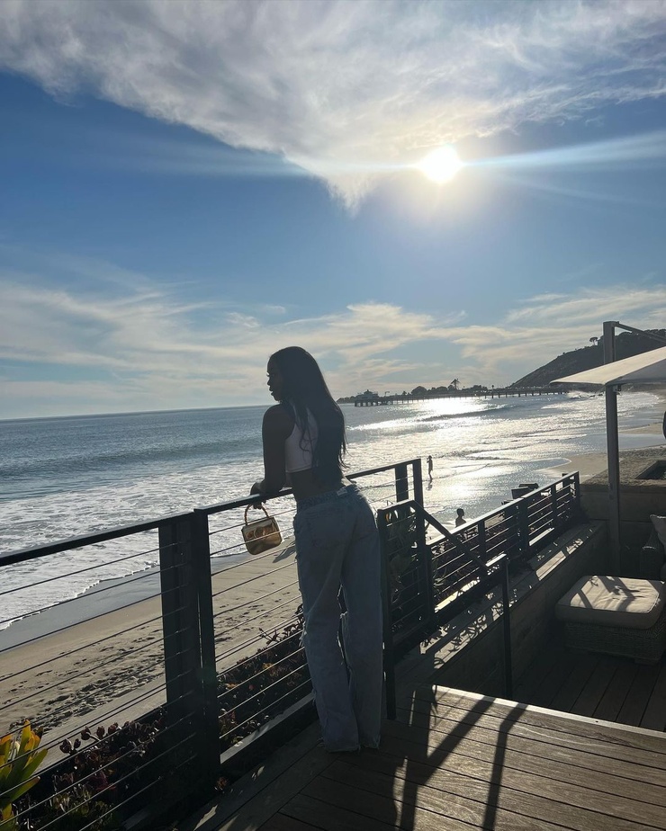 Nafessa Williams