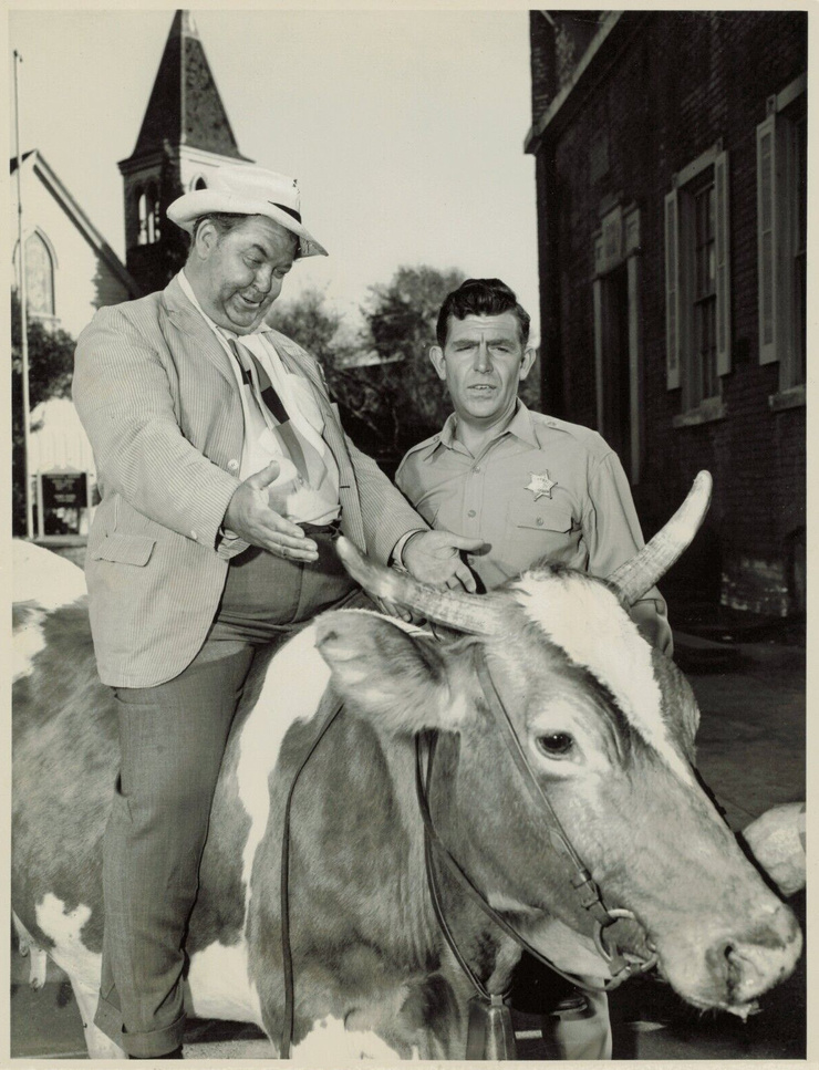 The Andy Griffith Show