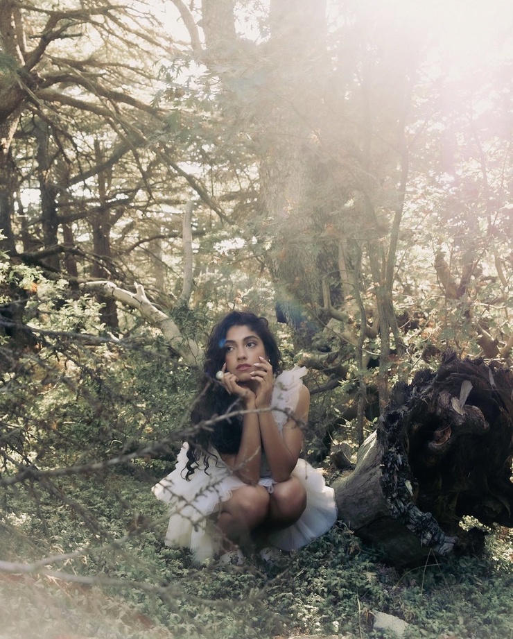 Nour Ardakani