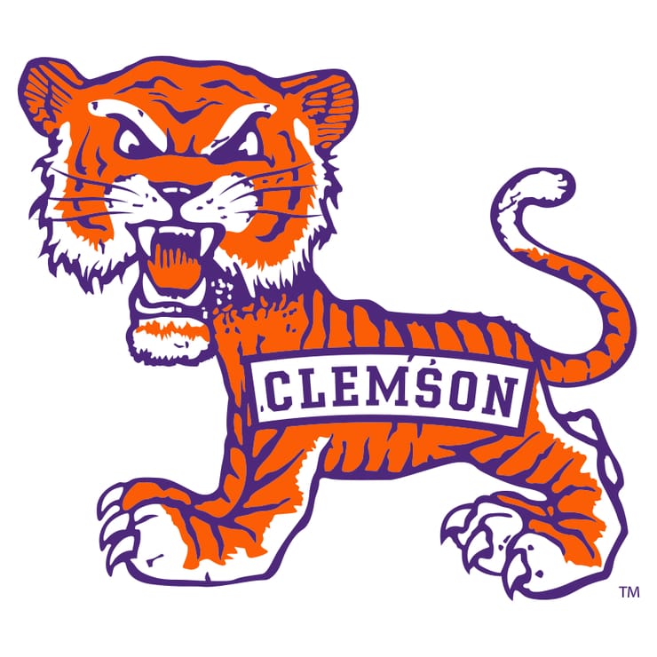 Image of Clemson Tigers Football