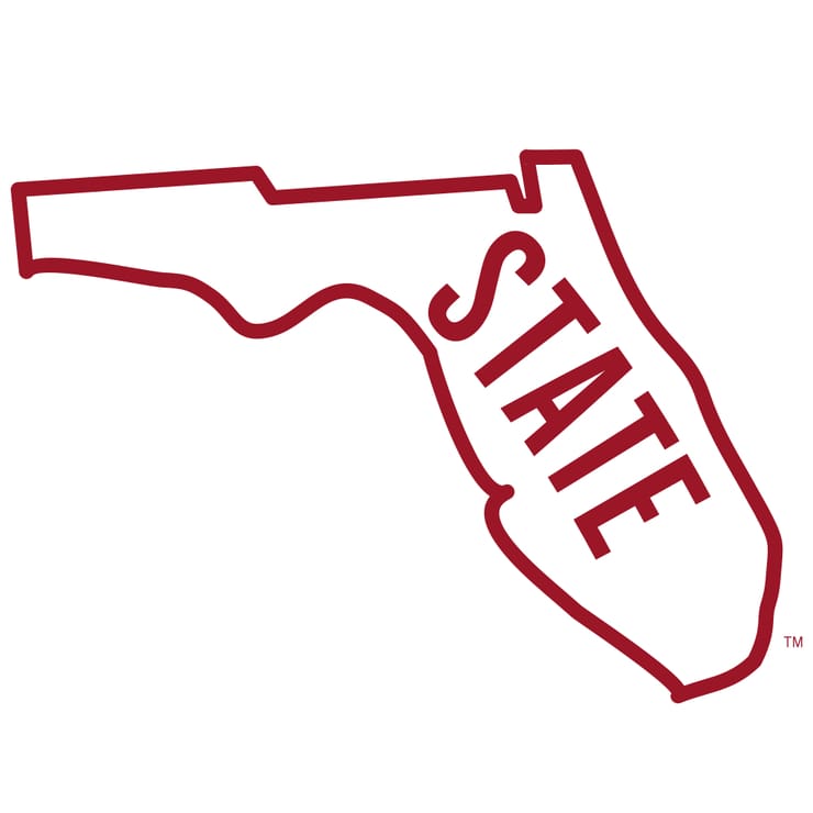 Picture of Florida State Seminoles Football