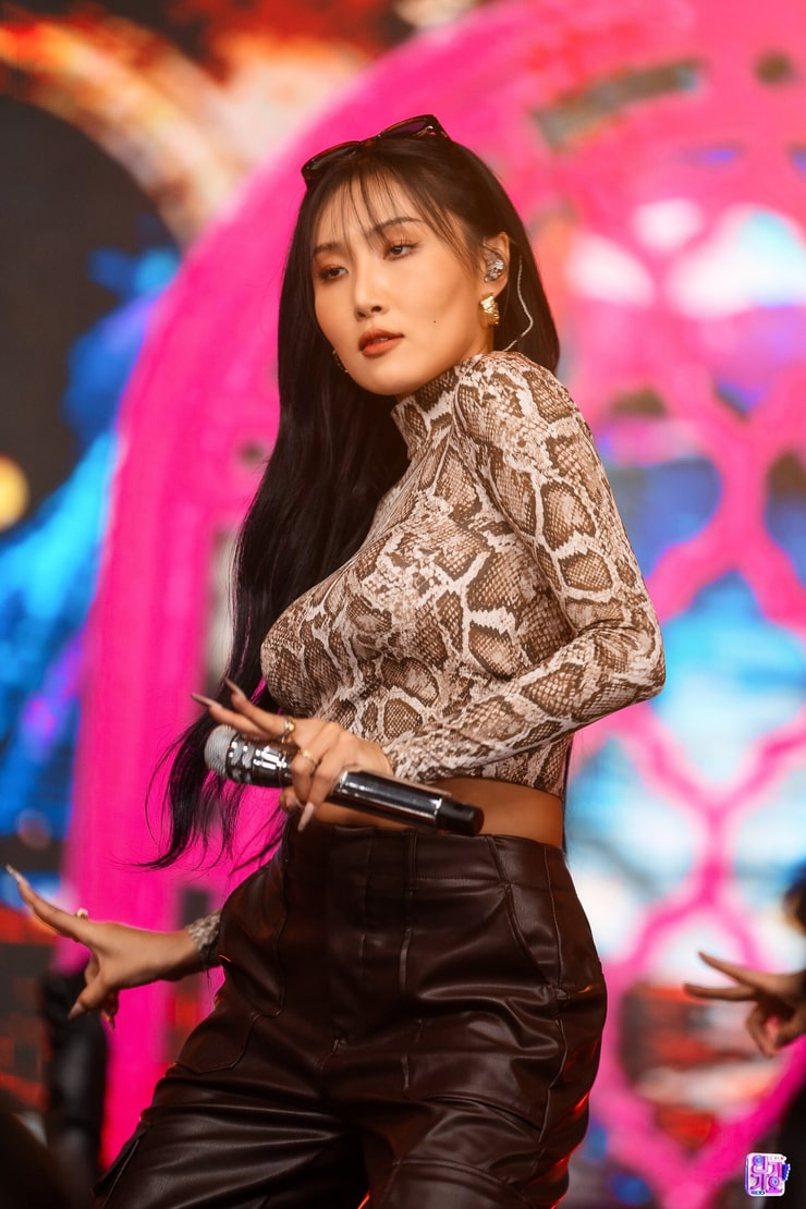 Picture of Hwasa