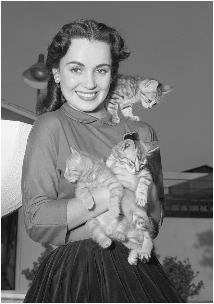 Susan Cabot Susan Cabot