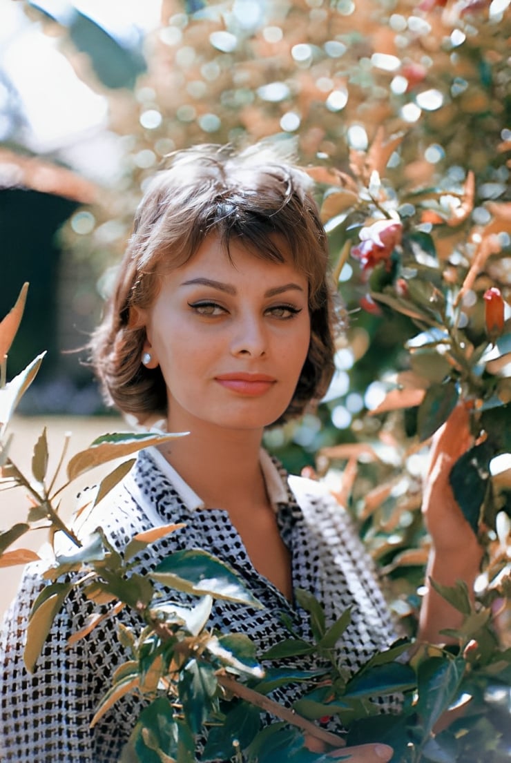 Sophia Loren