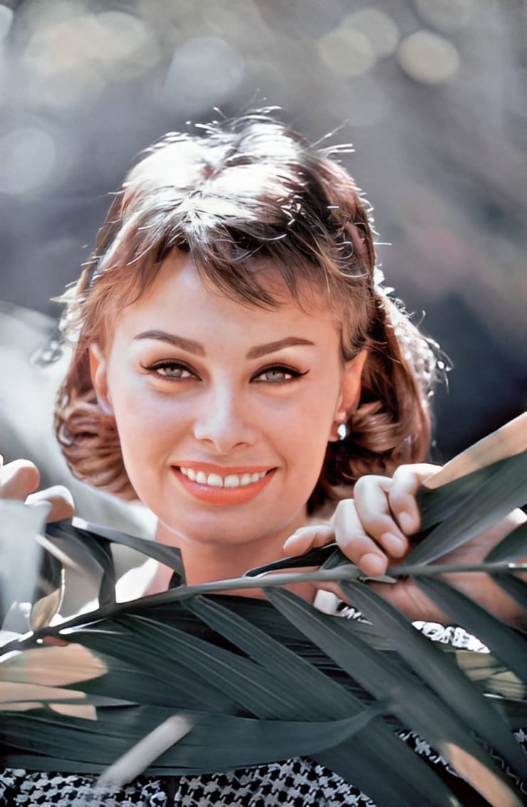 Sophia Loren Sophia Loren