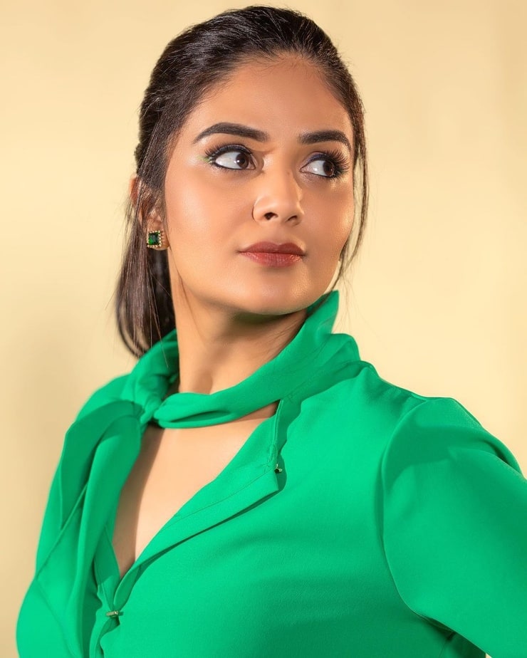 Sreemukhi picture