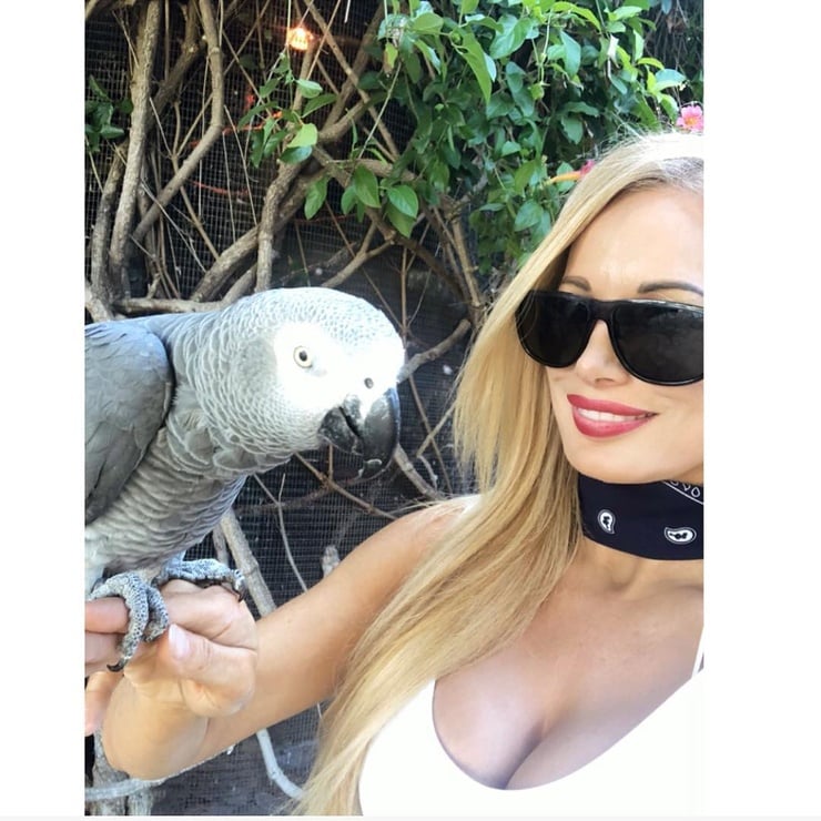 Lana Ashleigh (star)