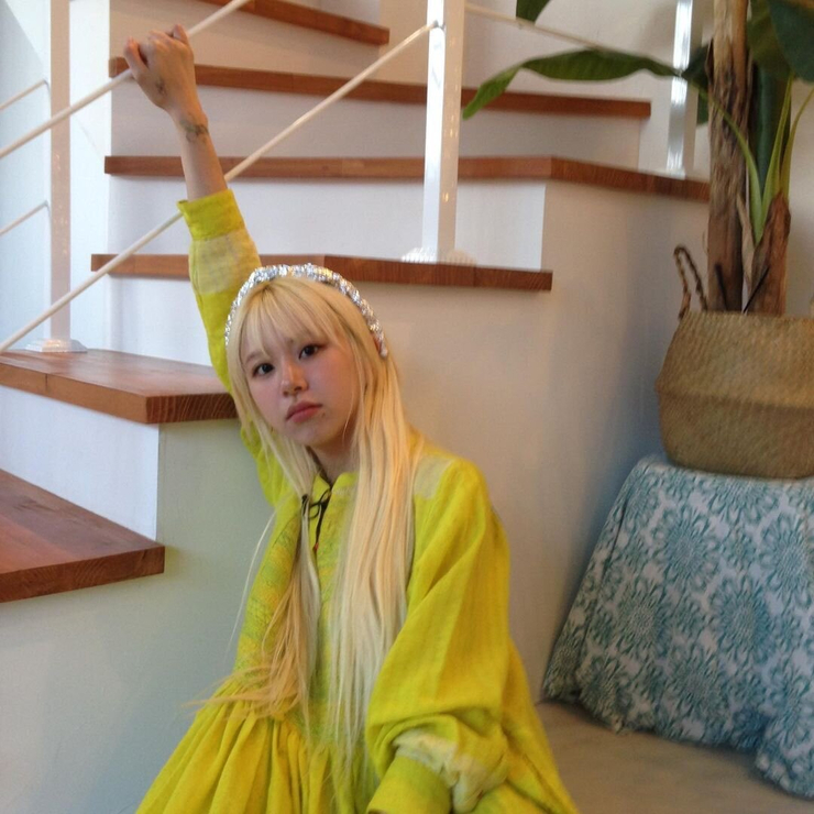 Son Chae Young