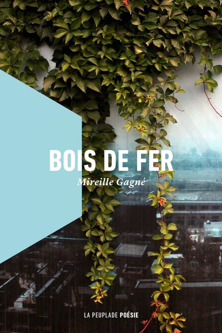 Bois de fer