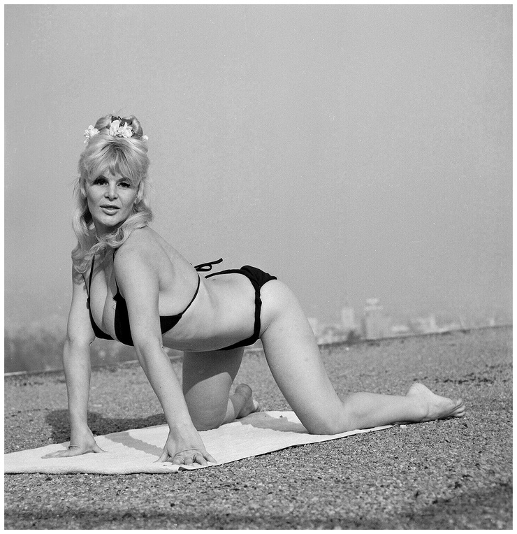 Babette Bardot Babette Bardot