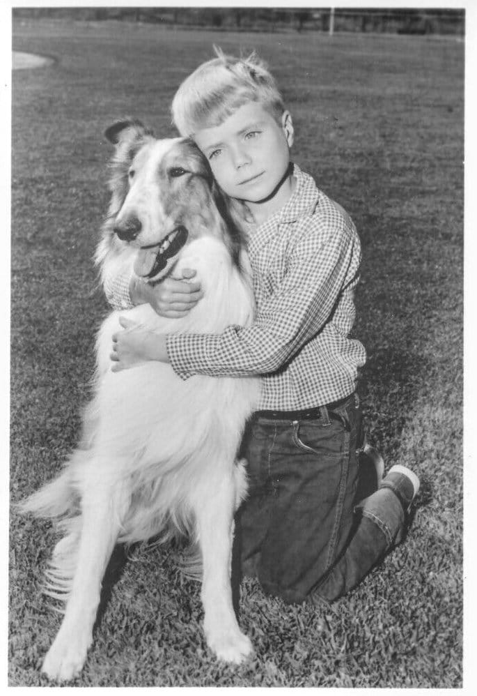 Jon Provost